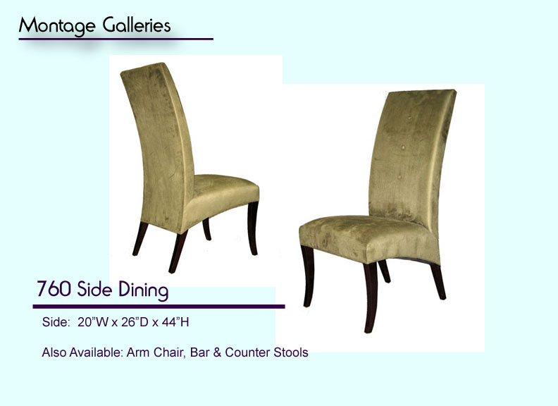 CSI_Montage_Galleries_760_Side_Dining_Chair